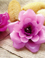 เทียนหอมลอยน้ำดอกไม้ป่า