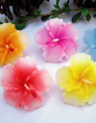 เทียนหอมลอยน้ำดอกชบาจิ๋ว