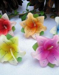 เทียนหอมลอยน้ำดอกลิลลี่จิ๋ว