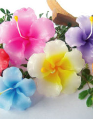 เทียนหอมลอยน้ำดอกชบา