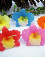 เทียนหอมลอยน้ำดอกกล้วยไม้จิ๋ว