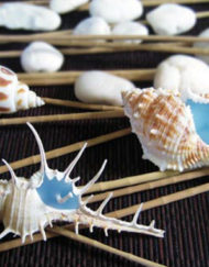 WC-G03 เทียนในเปลือกหอย