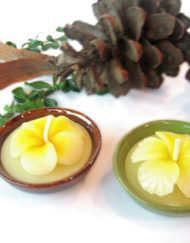 WC-G13 เทียนหอมดอกลั่นทมในเซรามิค