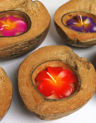 WC-G17 เทียนหอมดอกไม้ในกะลามะพร้าวแบบมีเปลือก