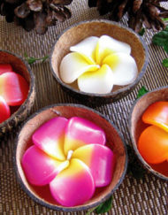 WC-G18 เทียนหอมดอกไม้ในกะลามะพร้าว