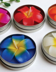 WC-G23 เทียนหอมดอกลั่นทมในตลับอลูมิเนียม